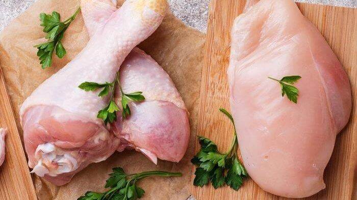 Ayam